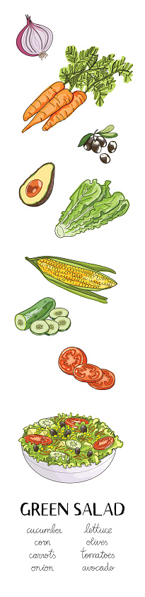 vector hand drawn illustration with green salad ingredients:cucumber, corn, olives, lettuce, tomatoes, carrot, onion, avocado