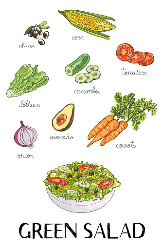 vector hand drawn illustration with green salad ingredients:cucumber, corn, olives, lettuce, tomatoes, carrot, onion, avocado