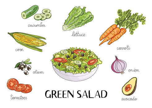 vector hand drawn illustration with green salad ingredients:cucumber, corn, olives, lettuce, tomatoes, carrot, onion, avocado