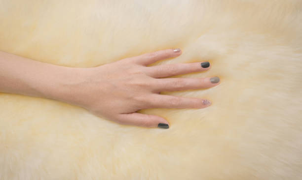 istock Hand touching fur carpet. Soft touch on fur. 809943136