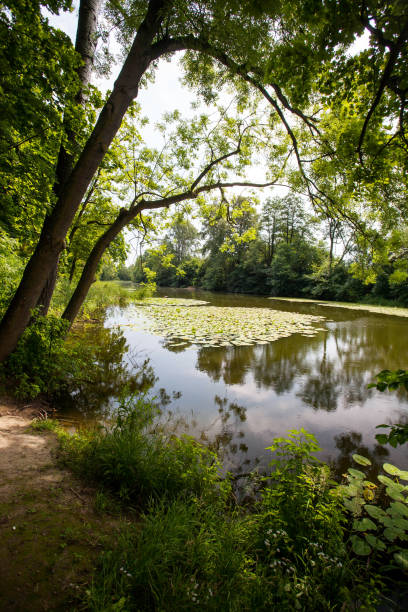 istock Picturesque old river bed 809943860