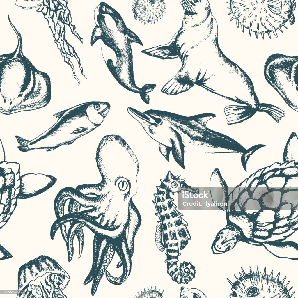 Sea Creatures Hand Drawn Seamless Pattern Stock Illustration - Download  Image Now - Dolphin, Drawing - Art Product, Turtle - iStock