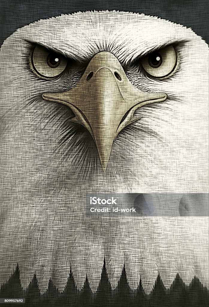 eagle head raster illustration of eagle head ... Eagle - Bird stock illustration