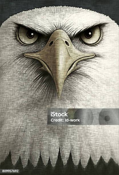 Eagle Head Stock Illustration - Download Image Now - Eagle - Bird, Patriotism, American Culture