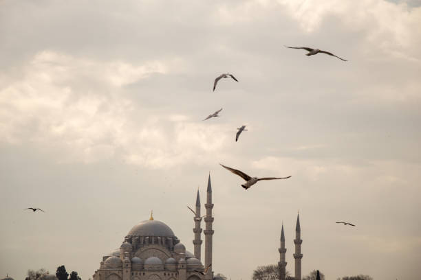 istock Seagulls in a sky with a mosque background 809958788