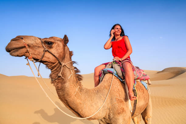 istock Young female tourist using mobile on a camel, Rajasthan, India 809971804