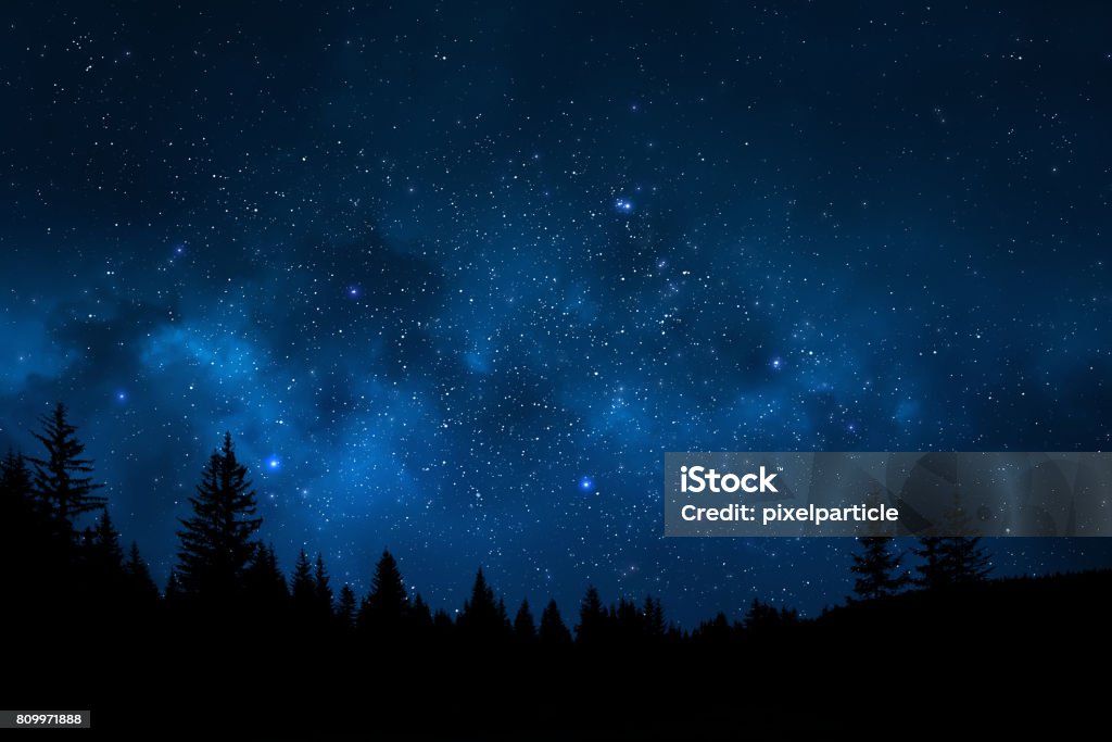 Night sky landscape Landscape showing trees against magical and starry night sky full of stars Night Stock Photo