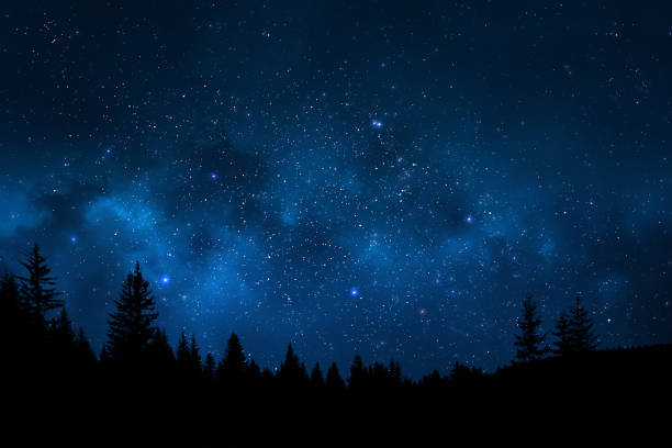 Night sky landscape Landscape showing trees against magical and starry night sky full of stars sky stock pictures, royalty-free photos & images