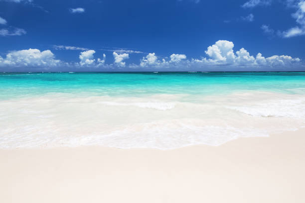 istock Wave of the sea on the sand beach 809979796