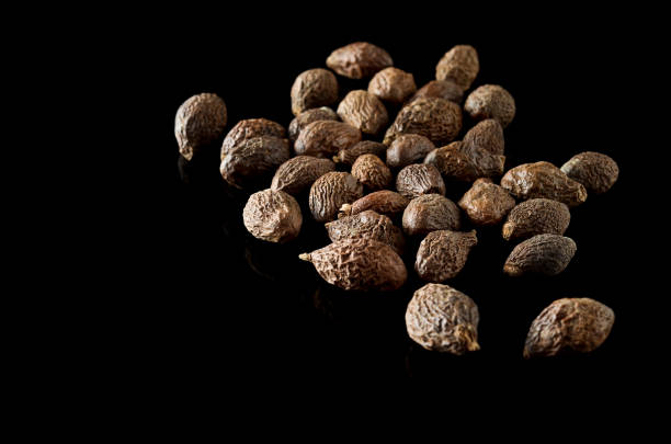 istock Malva nut tree or Taiwan sweet gum tree 810002064