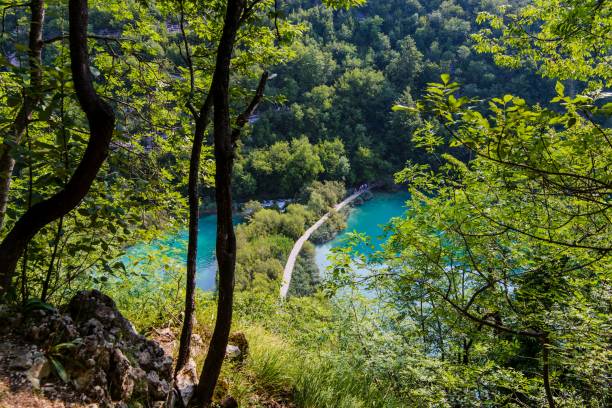 istock Beautiful Croatian waterfalls in Plitvice Lakes 810019034