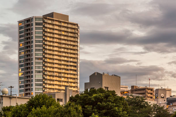 istock Tokyo's sky and skyscraper 810028136