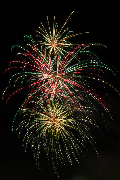 istock Fireworks explode in the night sky during Independence Day celebration at California park 810030770
