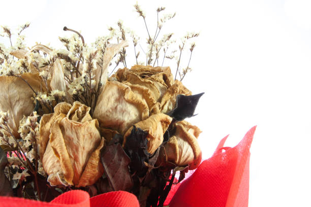 istock Closeup  bouquet of dried rose isolated on white 810038532