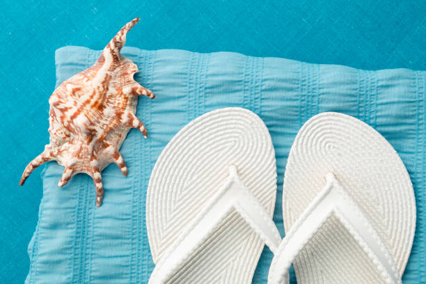 istock Flip flop near seashell on blue background. Top view. 810057272