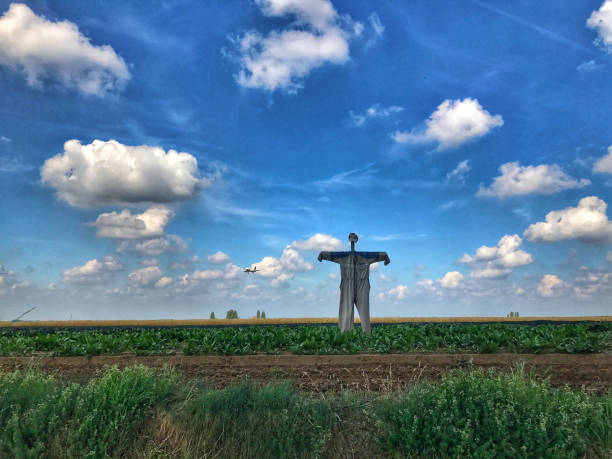 Dressed scarecrow standing in the field. Taken on a mobile device.