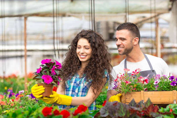 istock Couple garden center workers 810061974