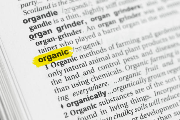 istock Highlighted English word 