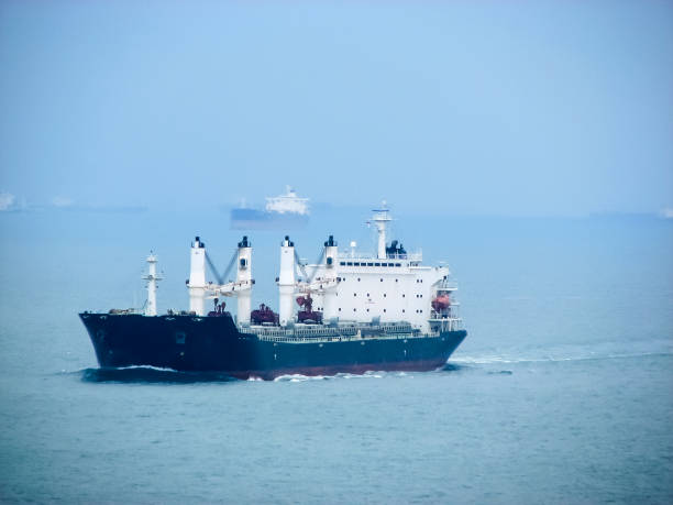 Dry cargo ship in the sea, ocean.