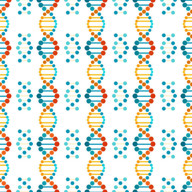 Dna Border Pattern 870+ Dna Borders Stock Illustrations, Royalty-Free Vector Graphics ...