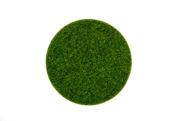 istock Artificial round green turf moss plate on white background 810090930