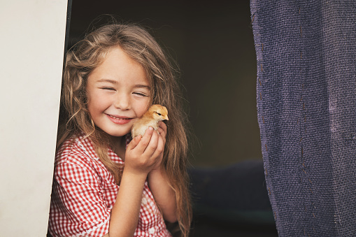 Close-up of a small girl holding a baby chicken