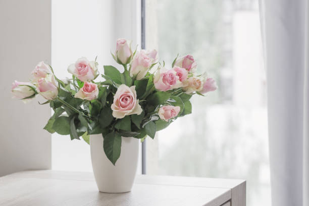 istock pink roses in vase on  background window 810117284