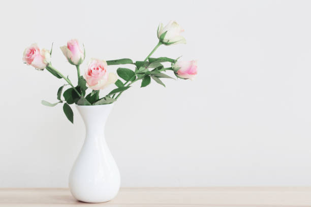 istock pink roses in vase on white background 810117788