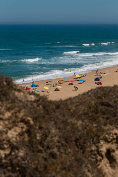 istock long beach on atlantic ocean coast with relaxed peoples on sand 810125640