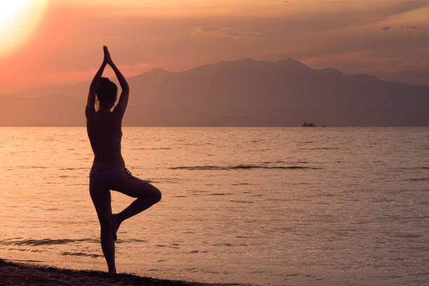 istock Silhouette of female practicing yoga tree position on the beach at sunset 810130716
