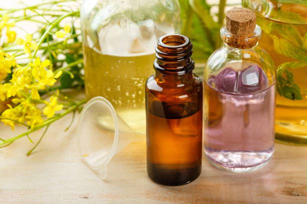 istock Essential oils and wild flowers 810135064
