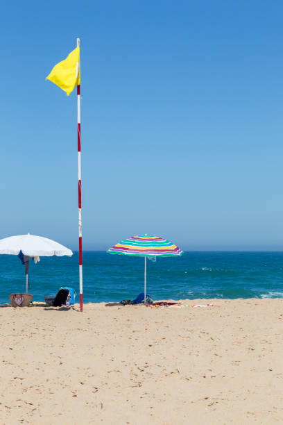 istock long beach on atlantic ocean coast for relaxed 810137900