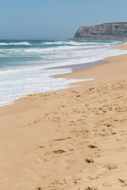 istock long beach on atlantic ocean coast for relaxed 810142150