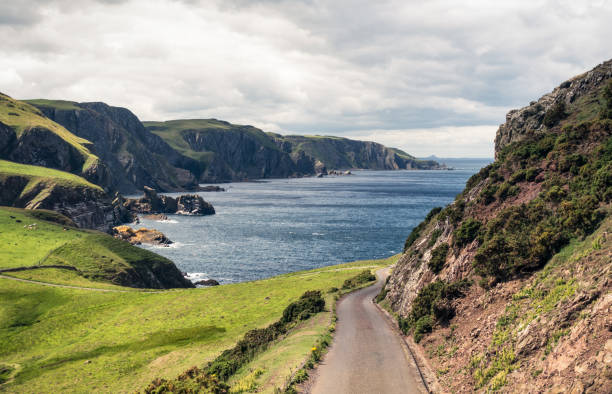 Rugged East Lothian Coastline at St Abb's Head