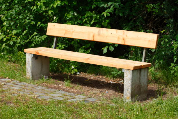 istock New bench, park bench made of light wood 810158688