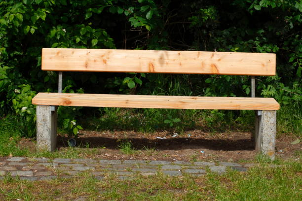 istock New bench, park bench made of light wood 810159100