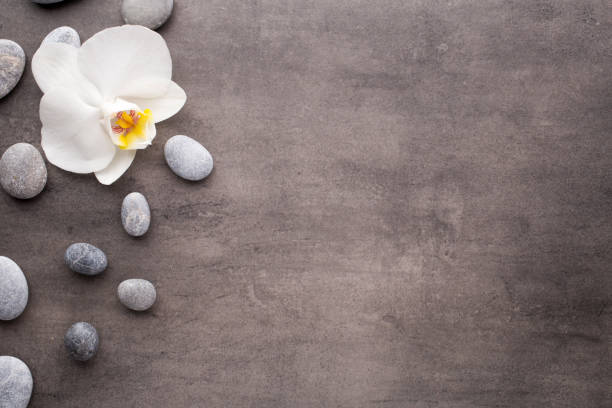 istock White orchid and spa stones on the grey background. 810162422