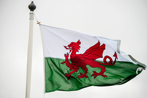 welsh flag flapping in the  wind  on a pole