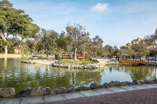 Olive Grove Park (or El Olivar Forest) in San Isidro district - Lima, Peru