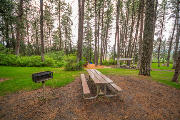 istock Tables on a background of the green forest. 810177706