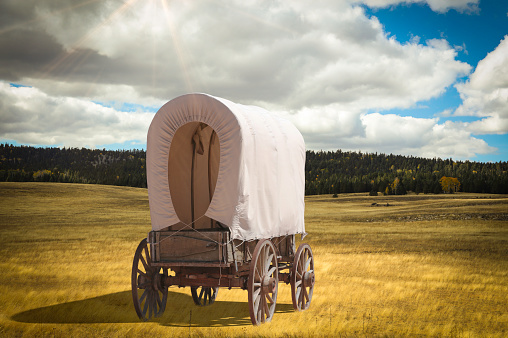 Covered wagon pioneer crosses wilderness