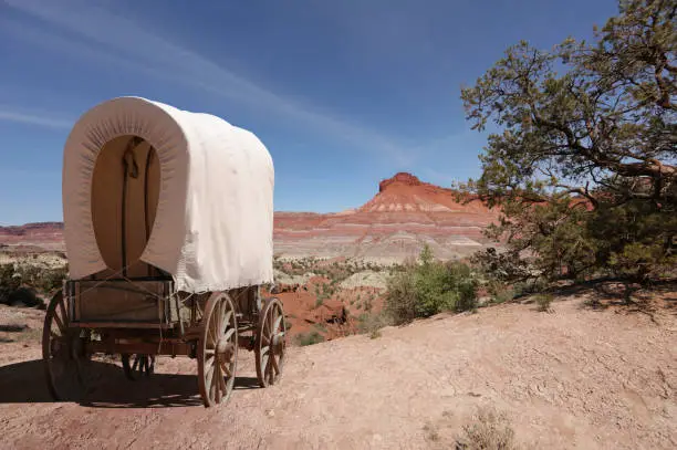 Covered wagon pioneer crosses wilderness