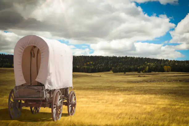 Covered wagon pioneer crosses wilderness