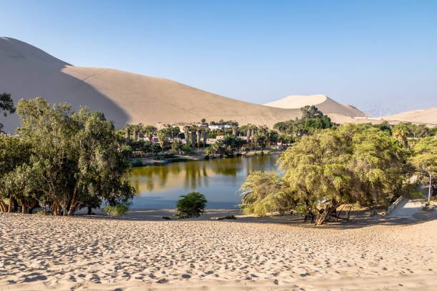 istock Huacachina Oasis - Ica, Peru 810185474