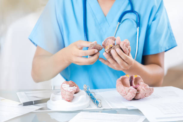 istock Unrecognizable medical professional dissects human brain 810188670