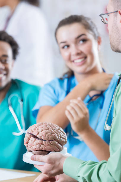 istock Neurologist talks with medical interns about human brain 810188722