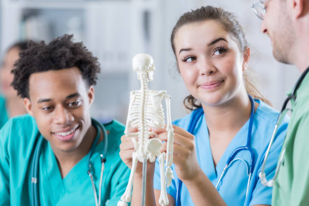 istock Interested medical interns learn about the skeletal system 810188952
