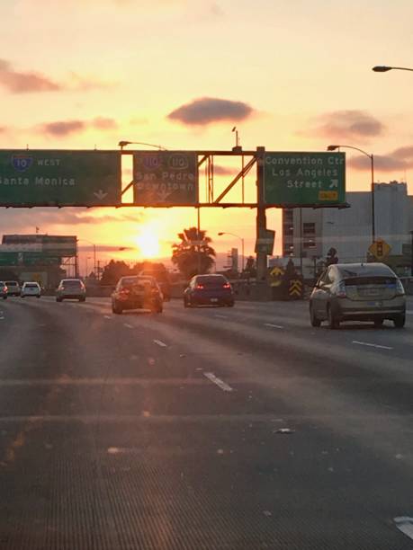 istock Santa Monica Freeway West at Sunset 810215918