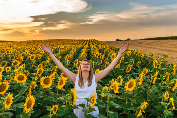 istock Escape to the countryside 810268106