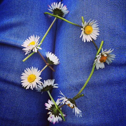 Small daisy chain against denim jeans, close up natural light.
